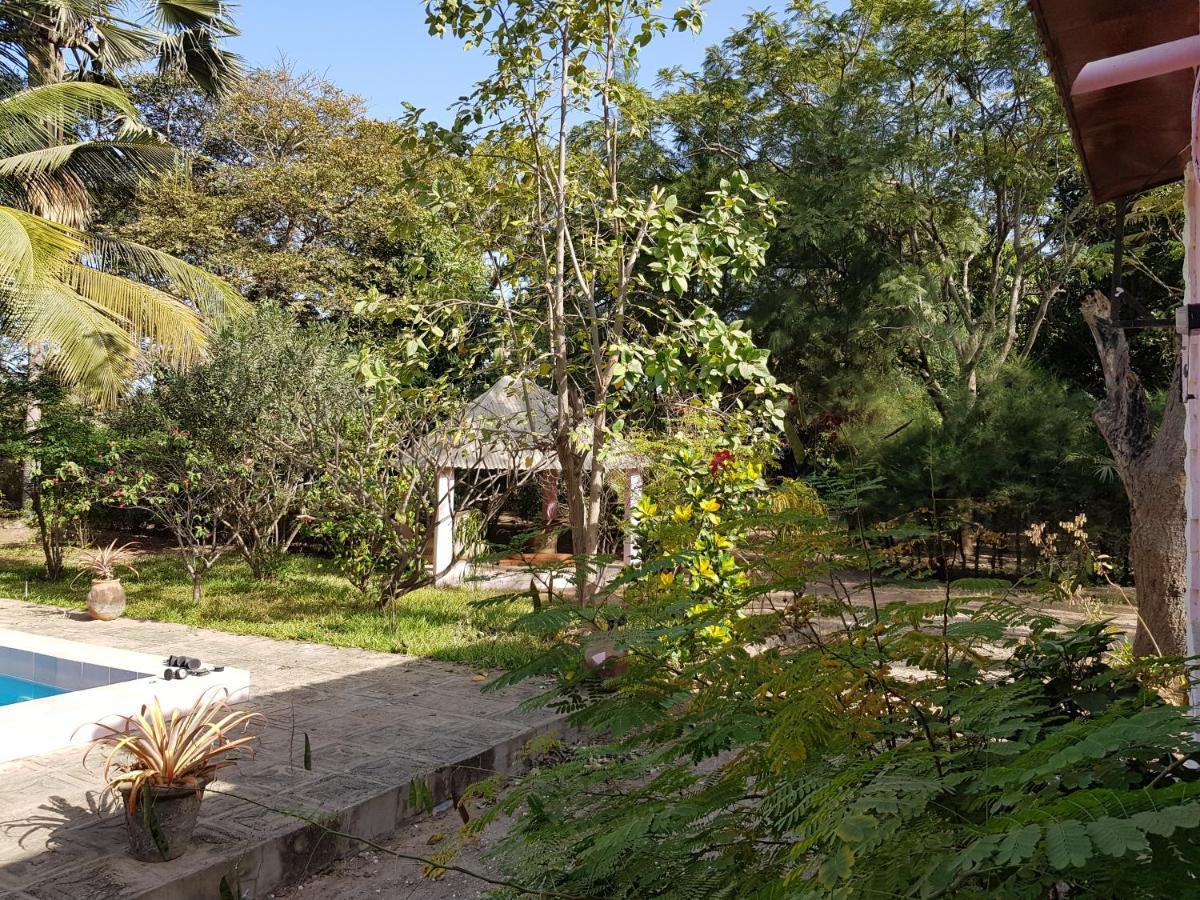 Villa Amarant - Private Garden With Pool Retreat Sanyang Εξωτερικό φωτογραφία